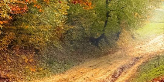 Förändring i karriären autumn road